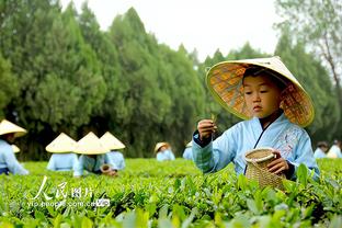 掘金遭遇客场4连败 赛季至今客场2胜4负 接下来一波3连客